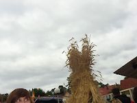 Single Image