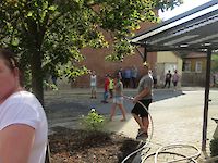 Single Image