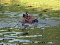 Single Image